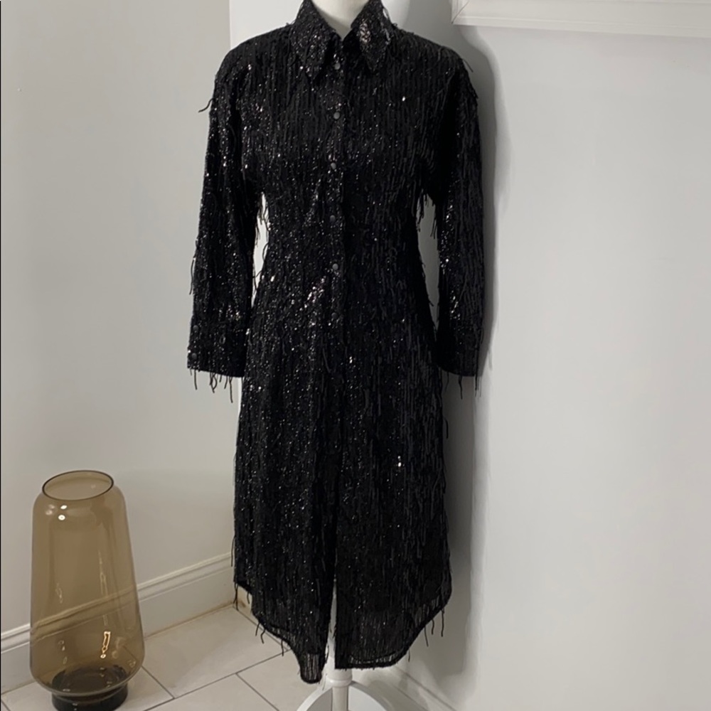 Zara limited edition sequin dress